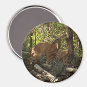 Mutter und Baby Deer im Shenandoah-Nationalpark Magnet (Vorderseite/Rückseite)