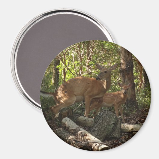 Mutter und Baby Deer im Shenandoah-Nationalpark Magnet (Vorderseite/Rückseite)