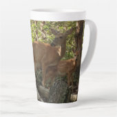 Mutter und Baby Deer im Shenandoah-Nationalpark Milchtasse (Rechte Ecke)