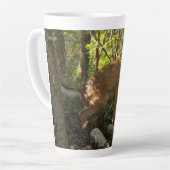 Mutter und Baby Deer im Shenandoah-Nationalpark Milchtasse (Linke Ecke)