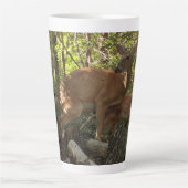 Mutter und Baby Deer im Shenandoah-Nationalpark Milchtasse (Vorderseite)