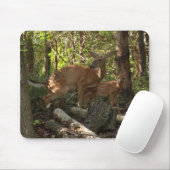 Mutter und Baby Deer im Shenandoah-Nationalpark Mousepad (Mit Mouse)