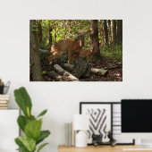 Mutter und Baby Deer im Shenandoah-Nationalpark Poster (Heimbüro)