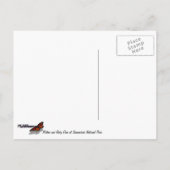 Mutter und Baby Deer im Shenandoah-Nationalpark Postkarte (Rückseite)