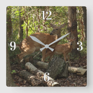 Mutter und Baby Deer im Shenandoah-Nationalpark Quadratische Wanduhr