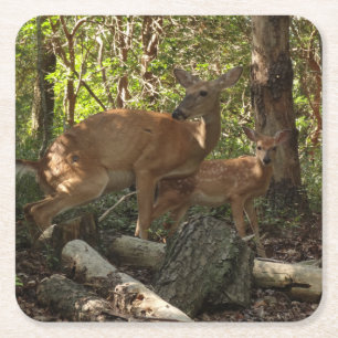 Mutter und Baby Deer im Shenandoah-Nationalpark Rechteckiger Pappuntersetzer