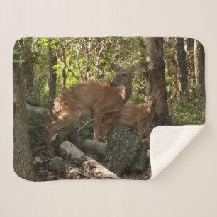 Mutter und Baby Deer im Shenandoah-Nationalpark Sherpadecke
