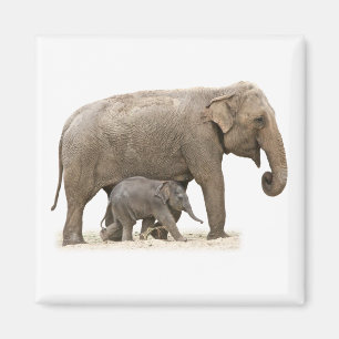 Mutter und Baby Elefant Magnet