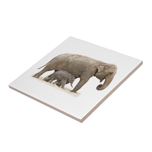 Mutter und Baby Elephant Fliese (Seite)