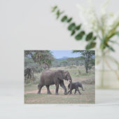 Mutter und Baby Elephant Foto Postkarte (Stehend Vorderseite)