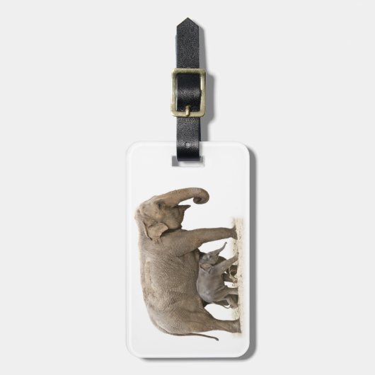 Mutter und Baby Elephant Gepäckanhänger (Vorderseite vertikal)