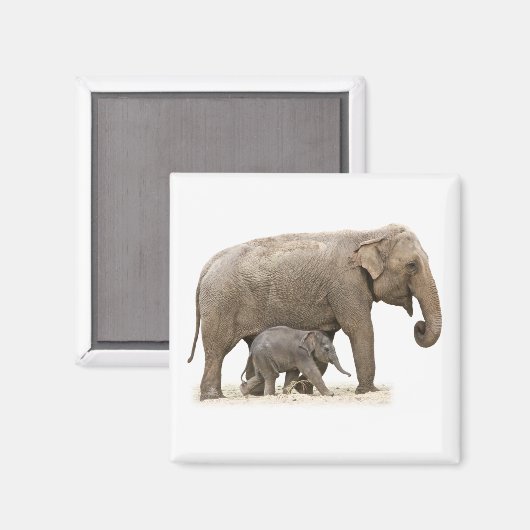 Mutter und Baby Elephant Magnet (Vorderseite/Rückseite)