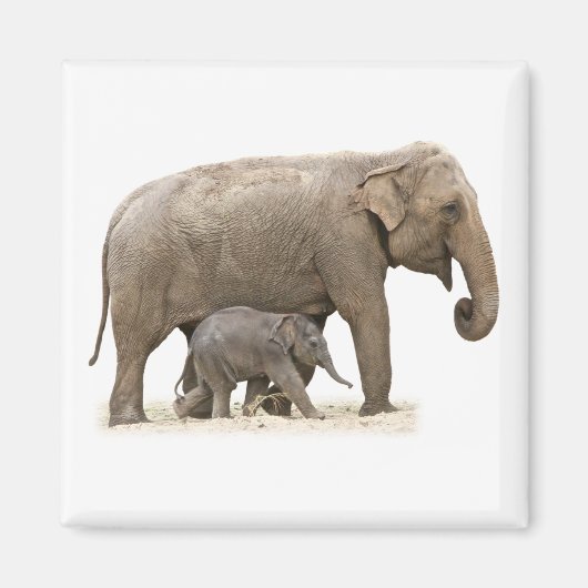 Mutter und Baby Elephant Magnet (Vorne)