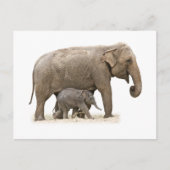 Mutter und Baby Elephant Postkarte (Vorderseite)