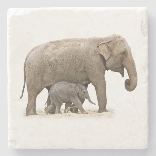Mutter und Baby Elephant Steinuntersetzer (Vorderseite)