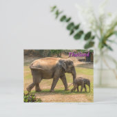 Mutter und Baby Elephant, Thailand Postkarte (Stehend Vorderseite)