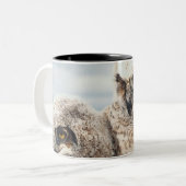 Mutter-und Baby-Eule Zweifarbige Tasse (Vorderseite Links)