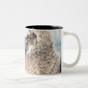 Mutter-und Baby-Eule Zweifarbige Tasse