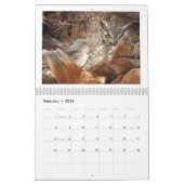 Mutter-und Baby-Eulen in einer Palme Kalender (Feb 2026)