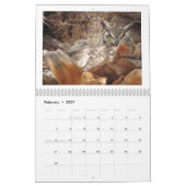 Mutter-und Baby-Eulen in einer Palme Kalender (Feb 2027)