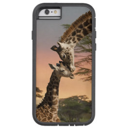 Mutter-und Baby-Giraffe, iPhone 6, starkes Xtreme iPhone 13 Hülle