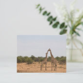 Mutter und Baby-Giraffe Postkarte (Stehend Vorderseite)