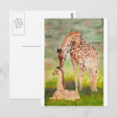Mutter und Baby Giraffen Postkarte (Vorne/Hinten)