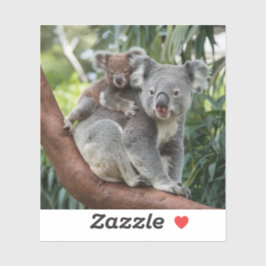 Mutter und Baby Koala Bear Aufkleber