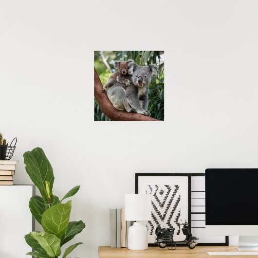 Mutter und Baby Koala Bear Poster (Heimbüro)