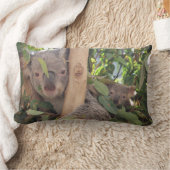 Mutter-und Baby-Koala-Wurfskissen Lendenkissen (Decke)