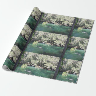 Mutter und Baby Manatee Nature Foto Blue Springs Geschenkpapier