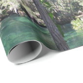 Mutter und Baby Manatee Nature Foto Blue Springs Geschenkpapier (Rolleneckpunkt)