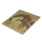 Mutter und Baby Masai Giraffe, Giraffa Fliese (Seite)