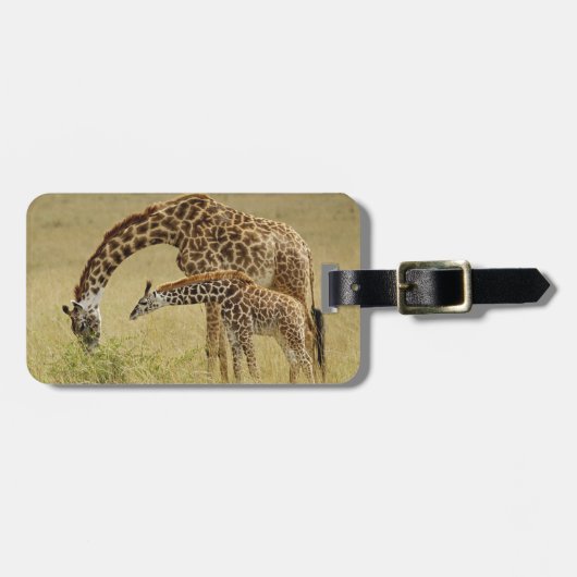 Mutter und Baby Masai Giraffe, Giraffa Gepäckanhänger (Vorderseite horizontal)
