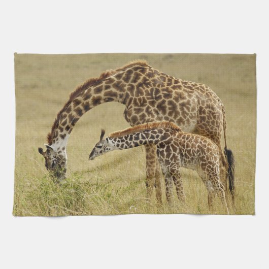 Mutter und Baby Masai Giraffe, Giraffa Geschirrtuch (Horizontal)
