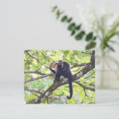 Mutter und Baby Monkey Postkarte (Stehend Vorderseite)