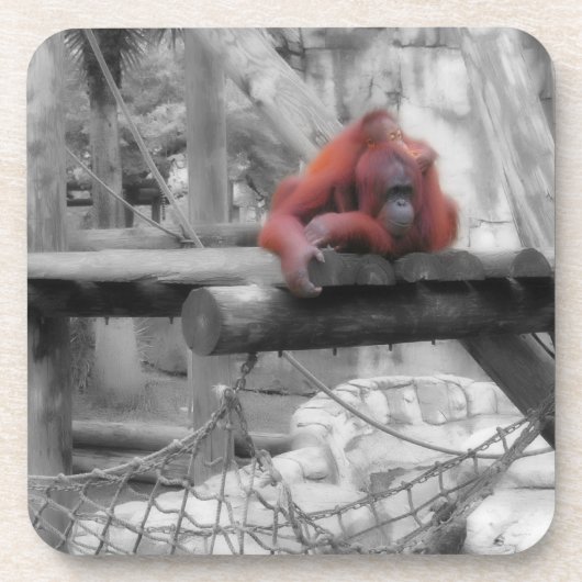 Mutter und Baby Orangutan Getränkeuntersetzer (Vorderseite)