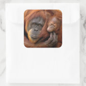 Mutter und Baby Orangutan Quadratischer Aufkleber (Tasche)