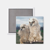 Mutter und Baby Owl Magnet (Vorderseite/Rückseite)