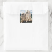 Mutter und Baby Owl Quadratischer Aufkleber (Tasche)