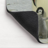 Mutter und Baby Penguin Mousepad (Ecke)
