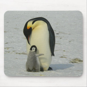 Mutter und Baby Penguin Mousepad