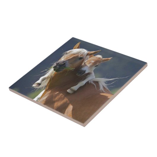 Mutter-und Baby-Pferd Fliese (Seite)