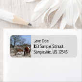 Mutter und Baby Pferd im Assateague (Insitu)