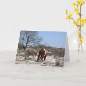 Mutter und Baby Pferd im Assateague Karte (Gelbe Blume)