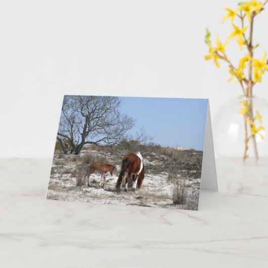 Mutter und Baby Pferd im Assateague Karte (Gelbe Blume)