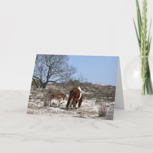 Mutter und Baby Pferd im Assateague Karte (Vorderseite)