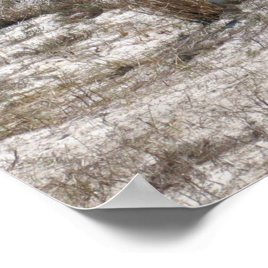 Mutter und Baby Pferd im Assateague Poster (Ecke)