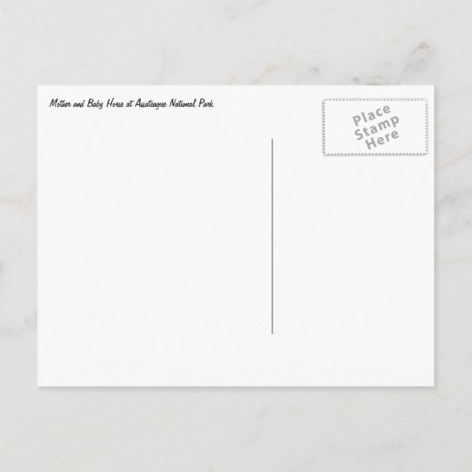 Mutter und Baby Pferd im Assateague Postkarte (Rückseite)