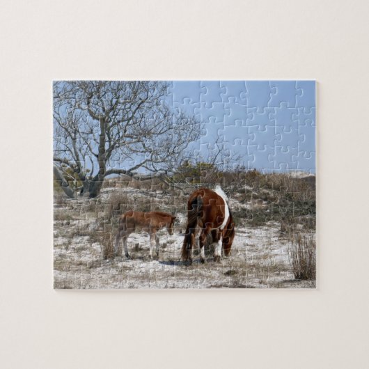 Mutter und Baby Pferd im Assateague Puzzle (Horizontal)